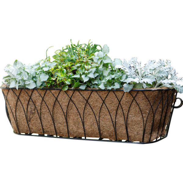 White Window Boxes You'll Love in 2021 Wayfair